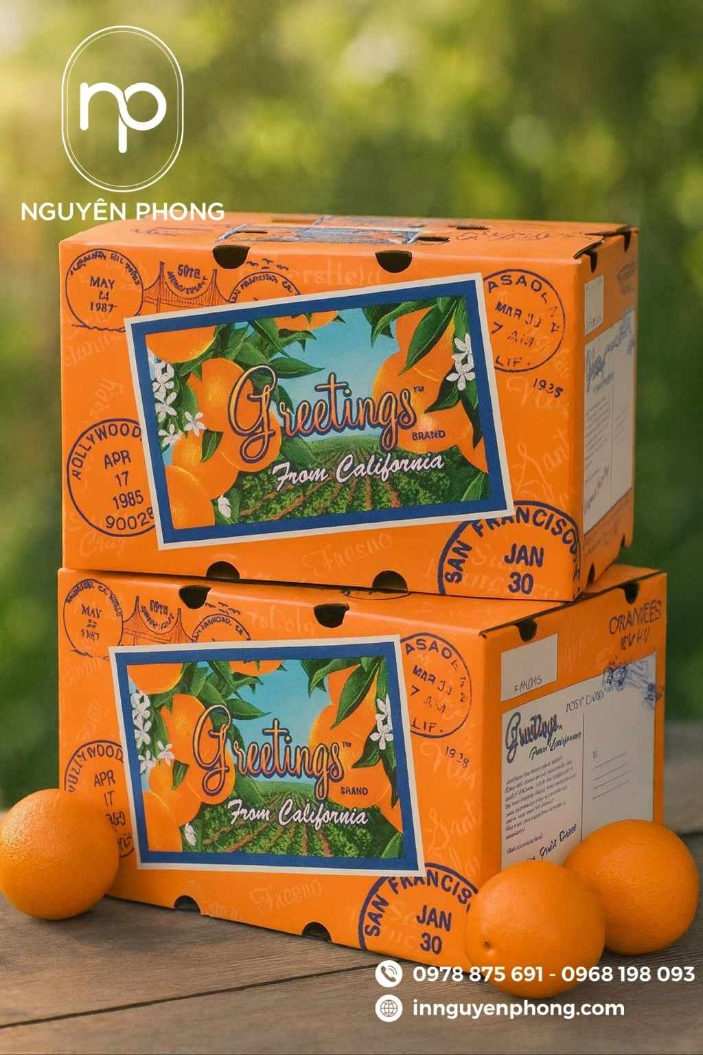 Thùng carton đựng quýt nổi bật